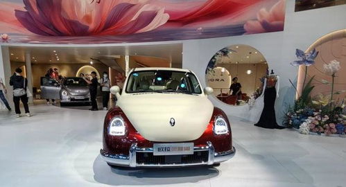 長城汽車大動作 趙永坡接管歐拉，能否再創銷量神話？