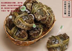 俏之源陽澄湖大閘蟹價格與廠家信息全解析 | 孜赫網(wǎng)絡(luò)